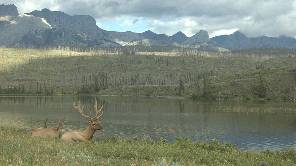 alberta e bc - 20 giorni into the wild!