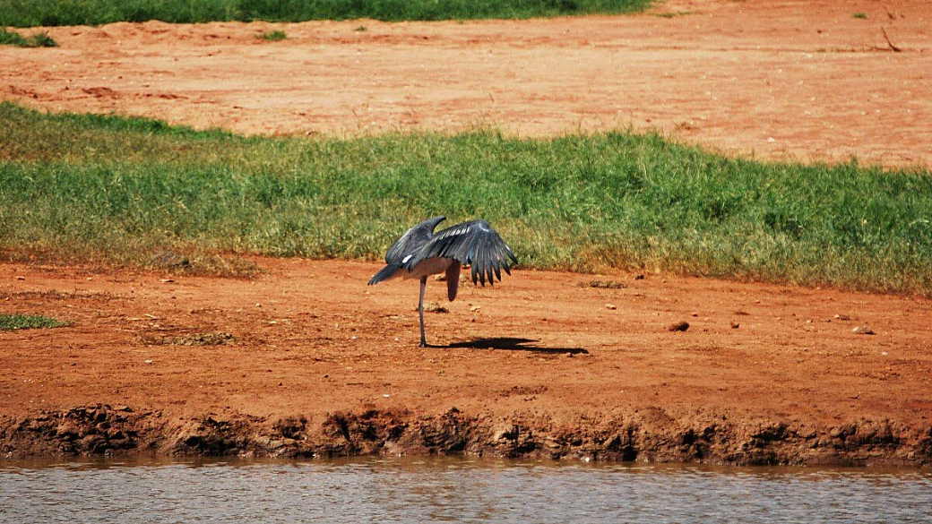 watamu e masai mara: irripetibile