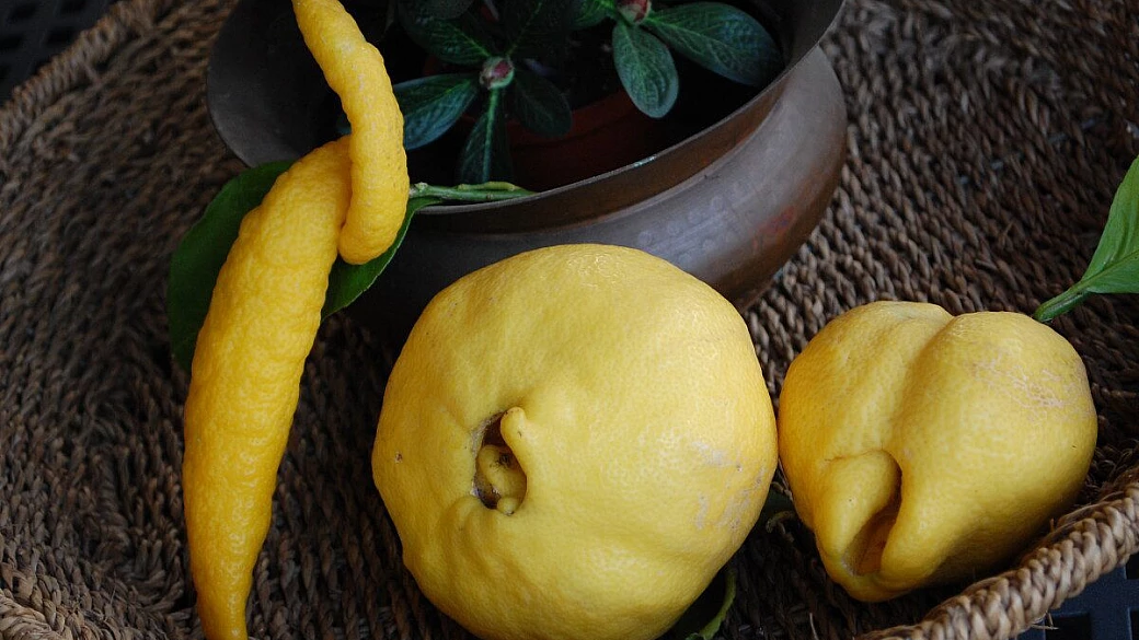 lampedusa per pigri e con bambini