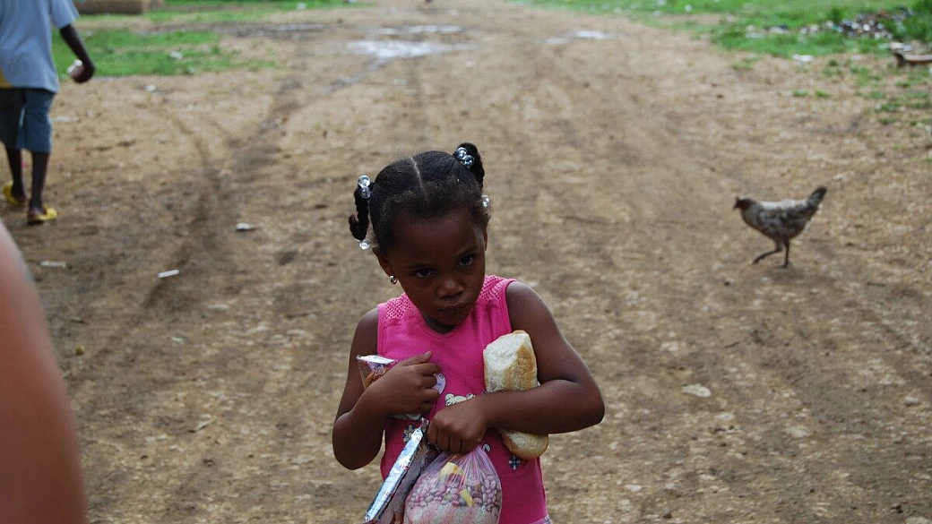 consigli per il viva