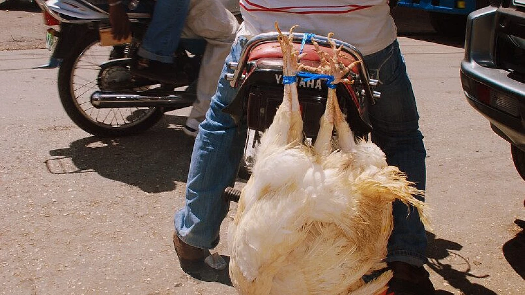 soggiorno al coco bavaro