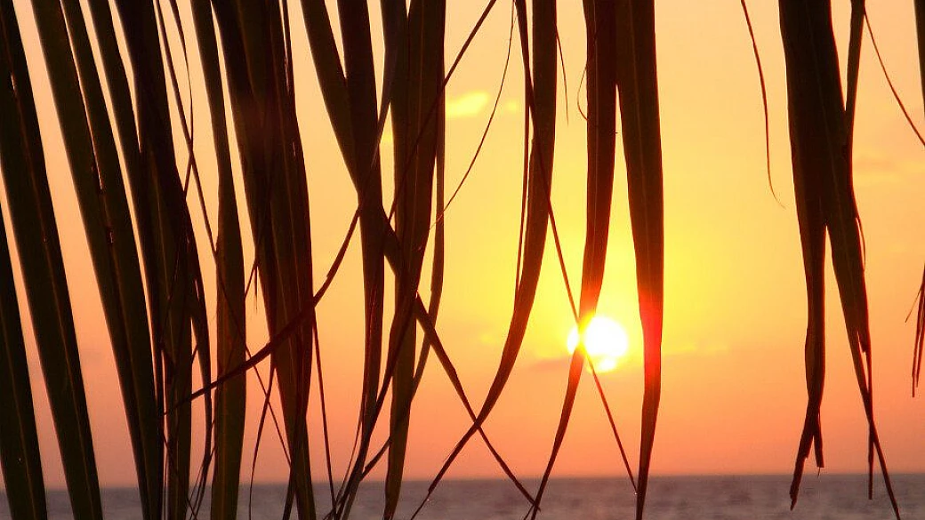 maldive, athuruga in gennaio