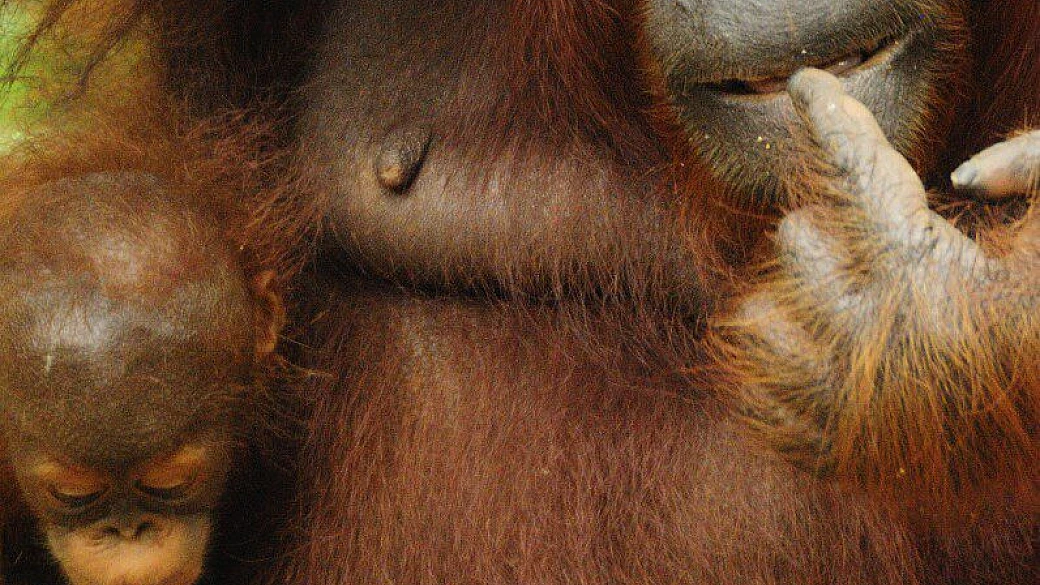 viaggio nella terra di sandokan