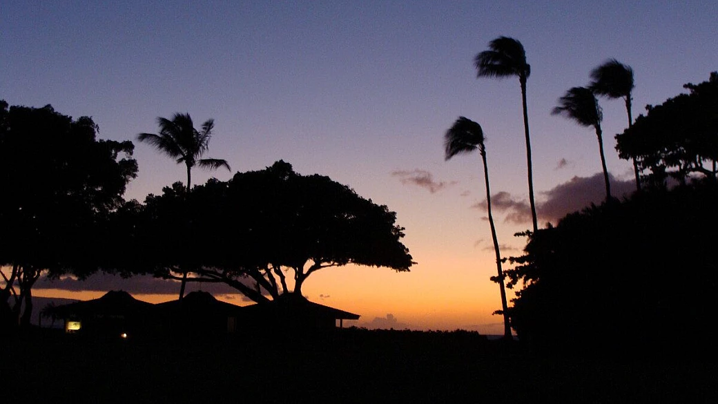 primavera a new york