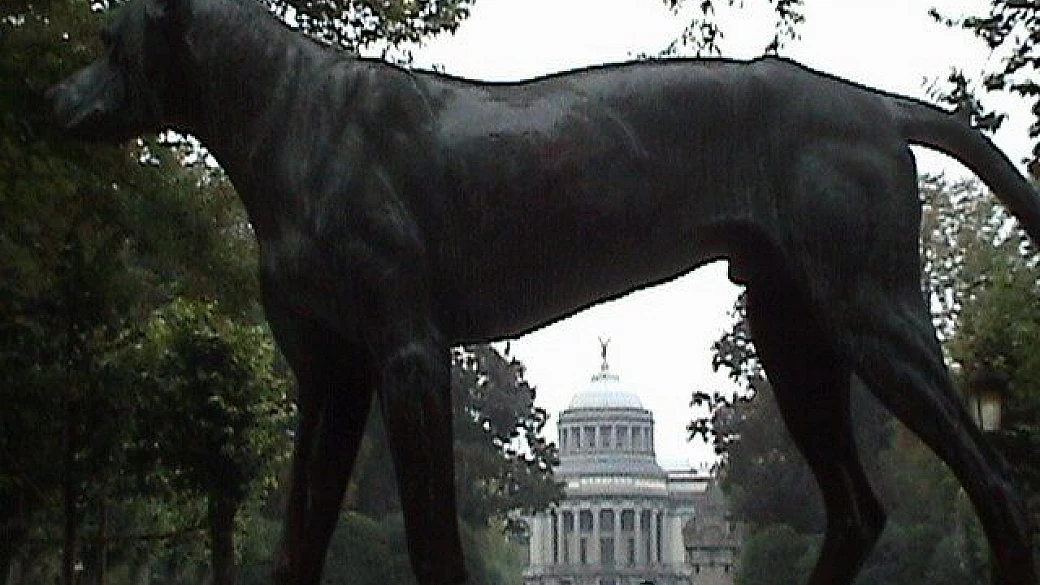 da bruges ad amsterdam passando per bruxelles