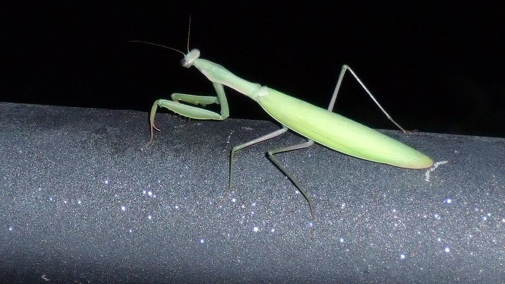 vulcano l'isola che ti sorprende