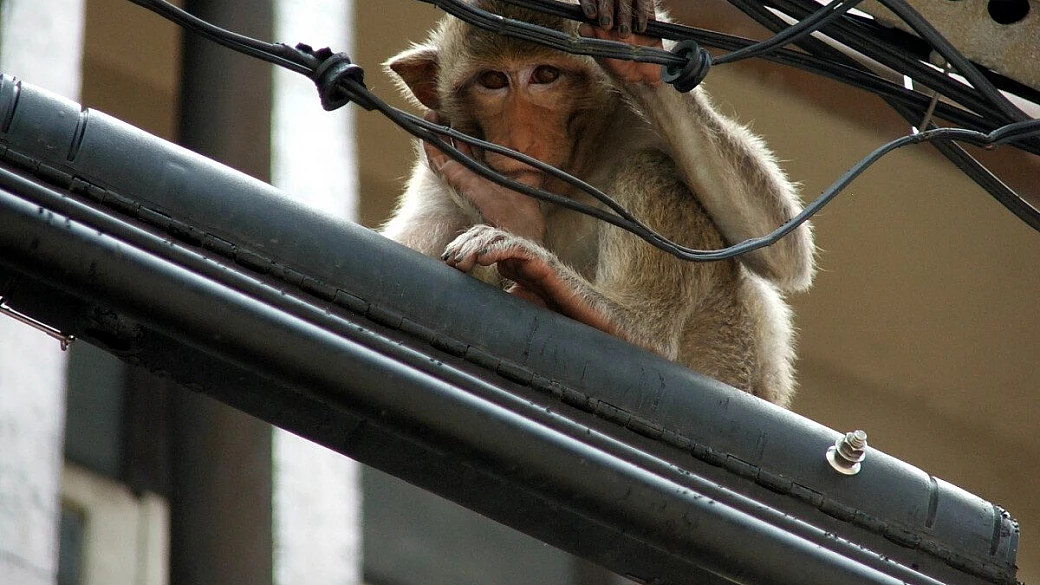 thailandia e cambogia 07-2005