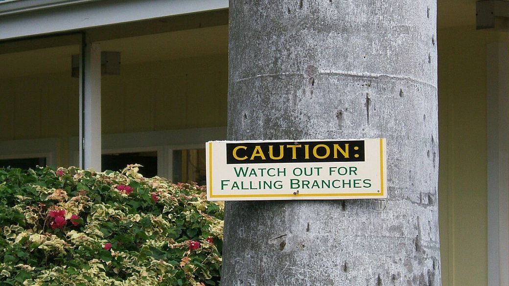 come innamorarsi della florida