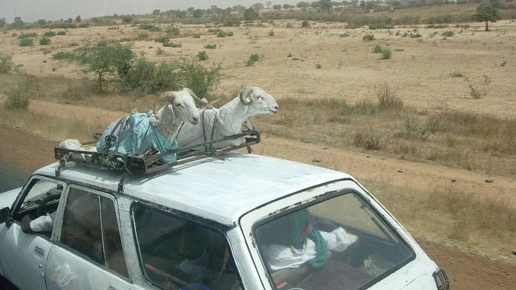 storia, tradizione e bellezze naturali: senegal