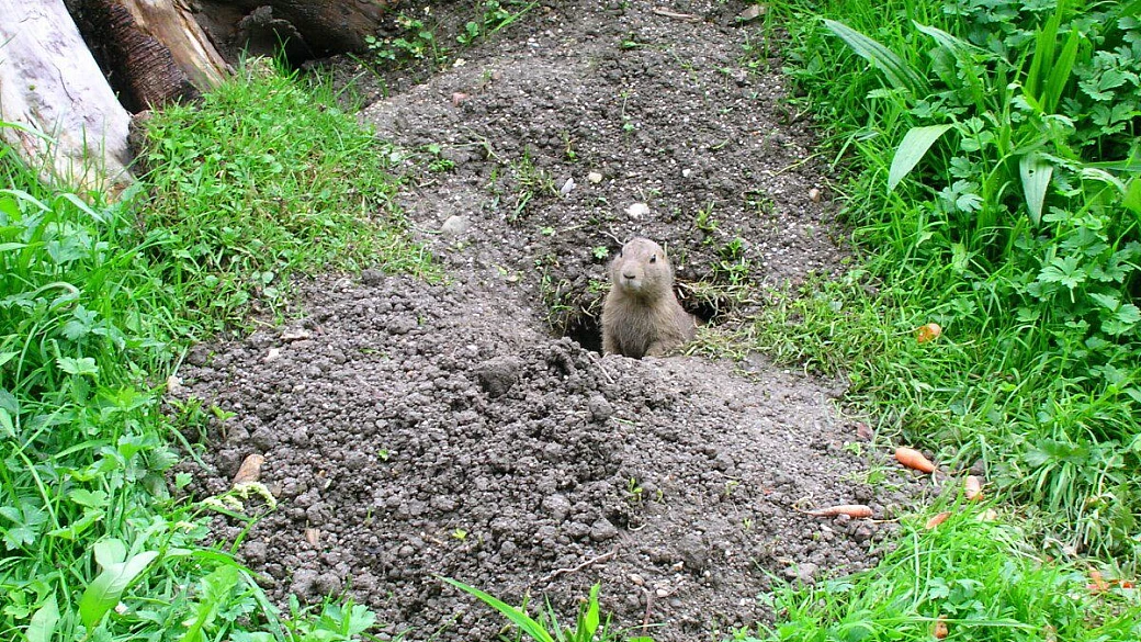 vienna a primavera 2