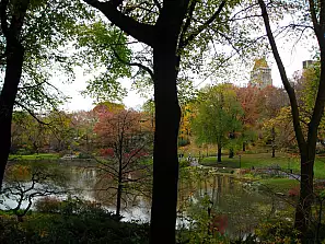 autumn in new york 3