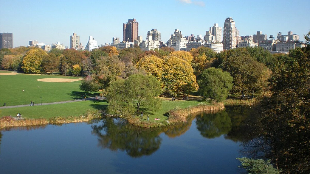 hawaii tutto quello che avremmo voluto sapere