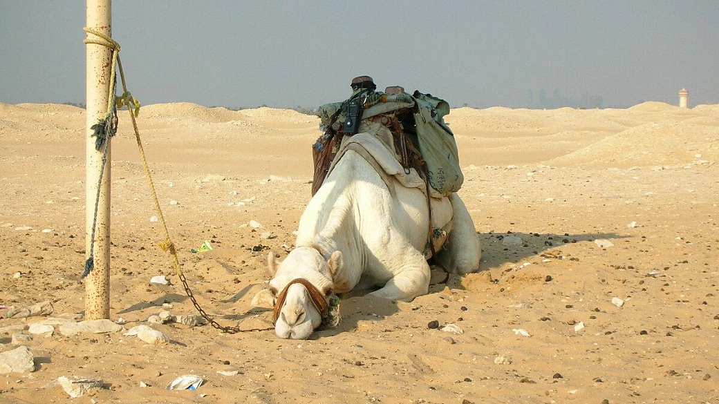 sharm el sheikh... un posto da sogno!!