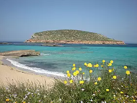 dscn6896-56660-h64zv