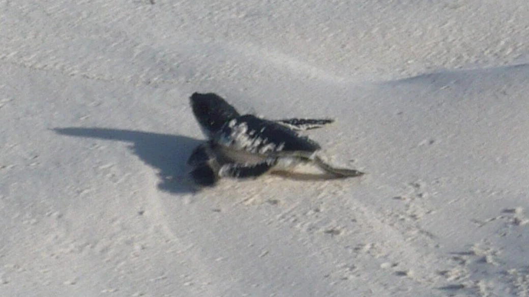 il mio bel viaggio a cuba