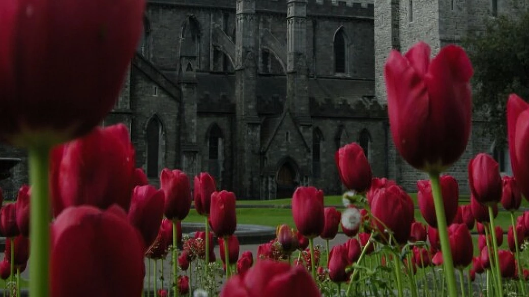 i miei primi 40 anni a dublino