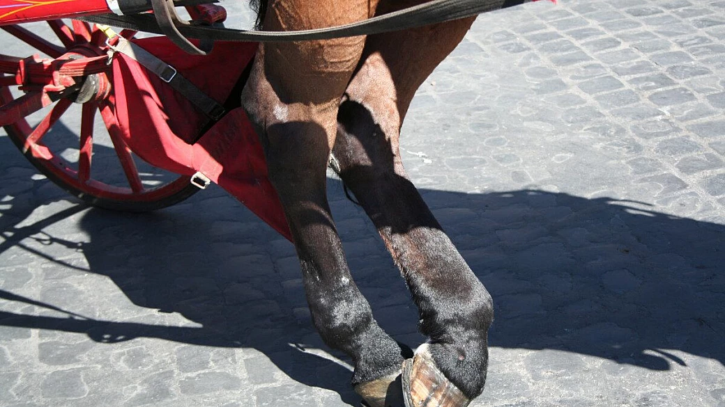 isola di santo stefano valtur