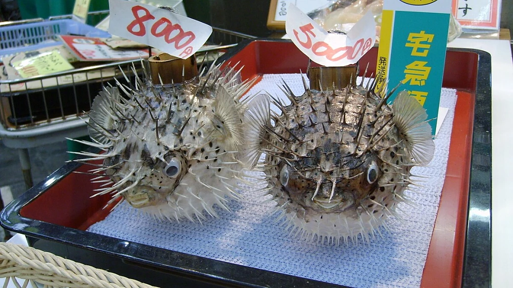 hiroshima, kyoto, tokyo, okinawa