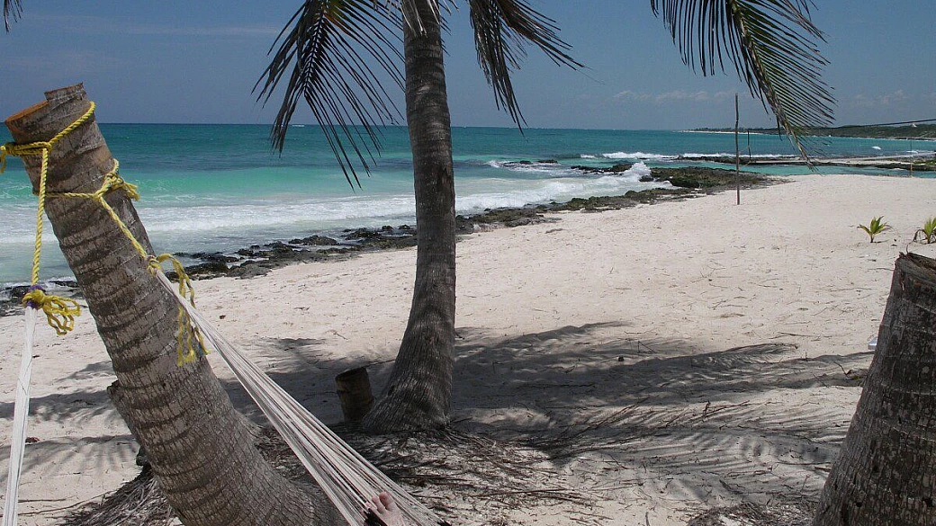 in autobus su e giù per la baja
