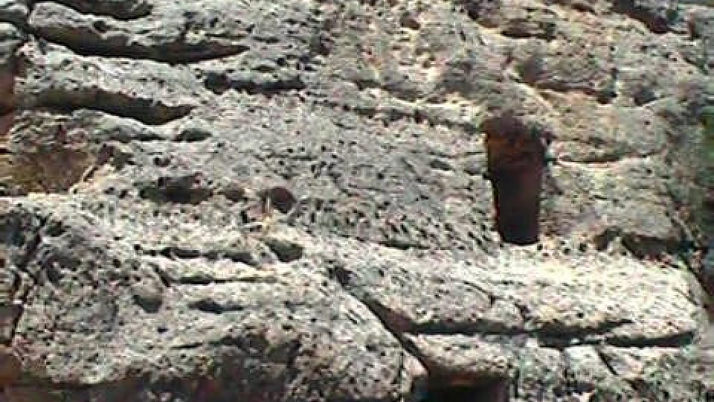 tunisia non in vacanza