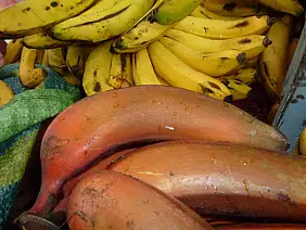 ecuador-cuenca-quito-panorama-fd73c