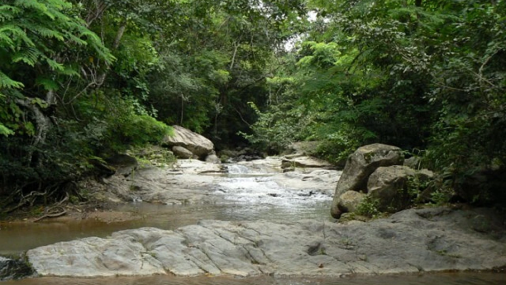 pierre molinari e la riserva ecologica pachijal in ecuador