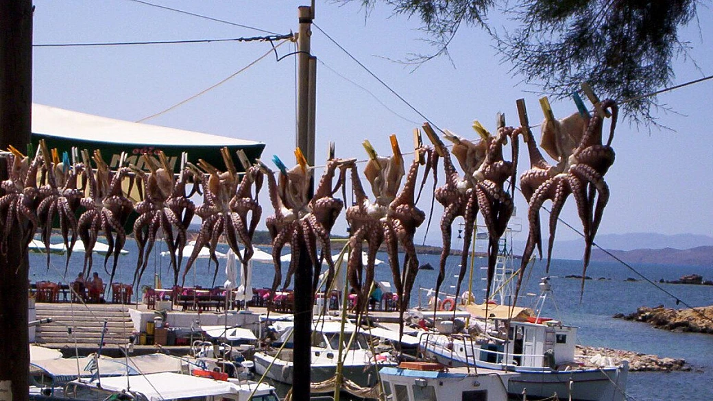 naxos il piccolo belvedere