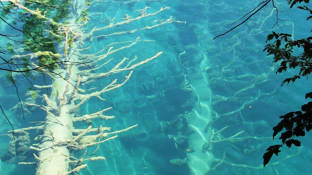 mare meraviglioso, ma....