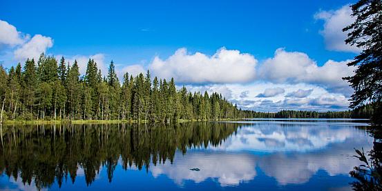 finlandia, tra natura selvaggia, orsi e laghi cobalto... 4