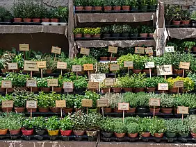 emilia-romagna-54xnb