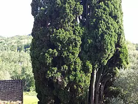 emilia-romagna-87t6h