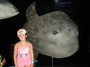 mia figlia luna accanto al pesce luna oltremare riccione