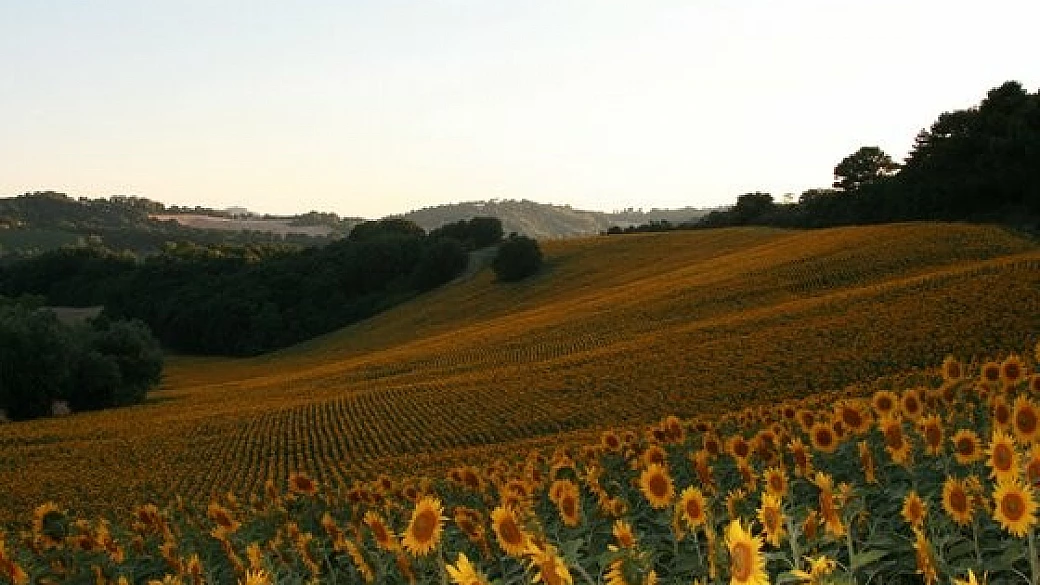 grotte, castelli e squali... una favola?