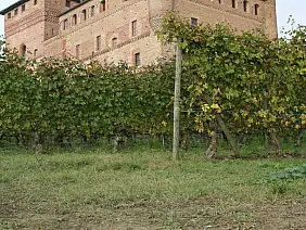 enogastronomico-c1hrn