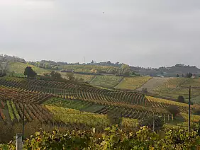 enogastronomico-d14zm