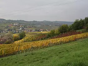 enogastronomico-ektzf