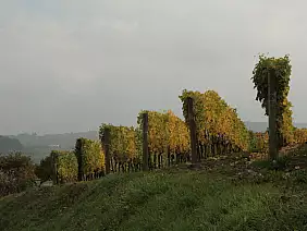 enogastronomico-ev57v