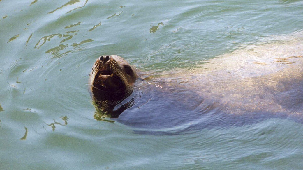due amiche in cerca di guai!
