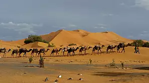 vacanze nel deserto