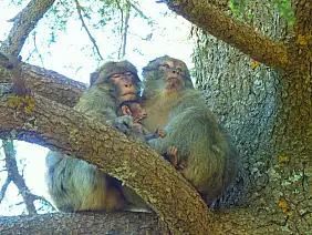 erg-chebbi-mare-9kmdh