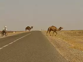 erg-chebbi-mare-nx6st