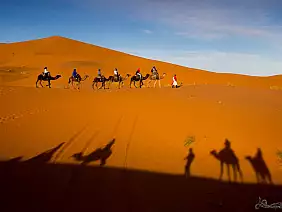 erg-chebbi-mare-qgrkg