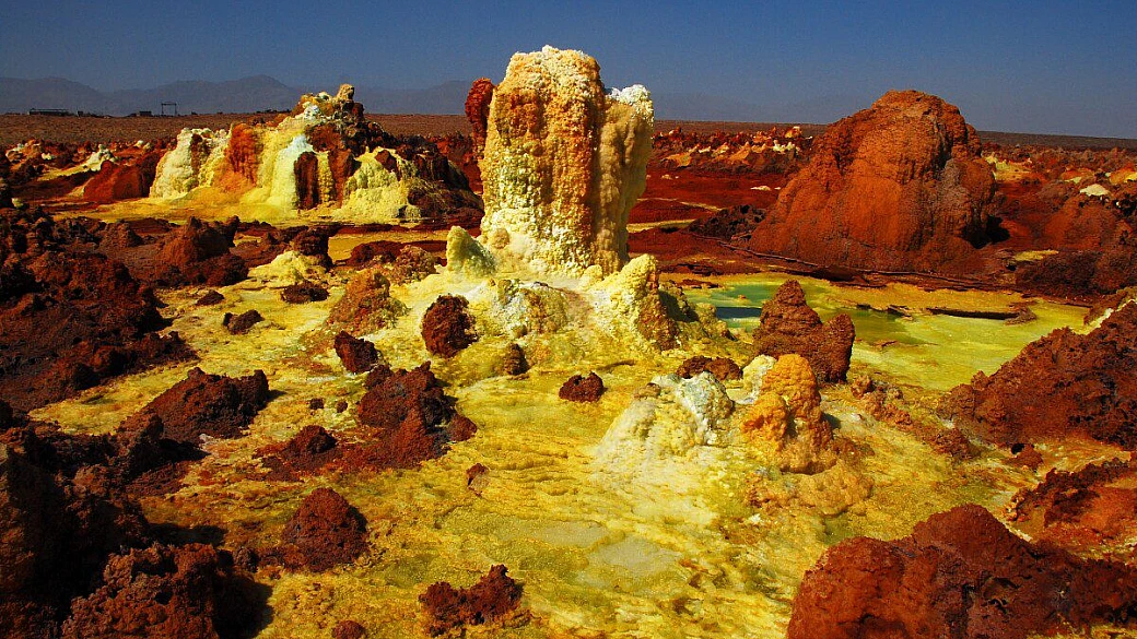 dancalia mordi e fuggi