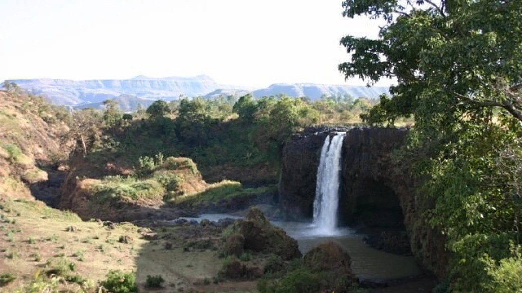 impressioni di una mosca bianca