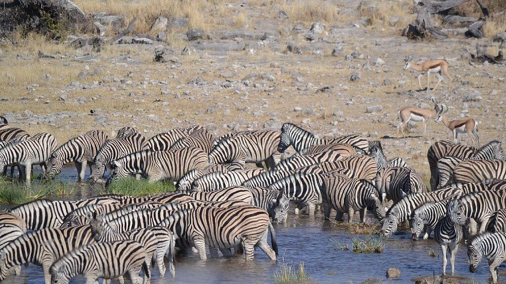 affascinante namibia