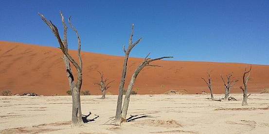 Namibia, terra di contrasti 2