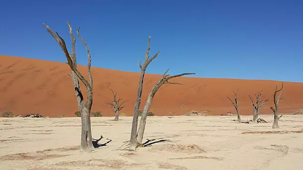 namibia, terra di contrasti 2