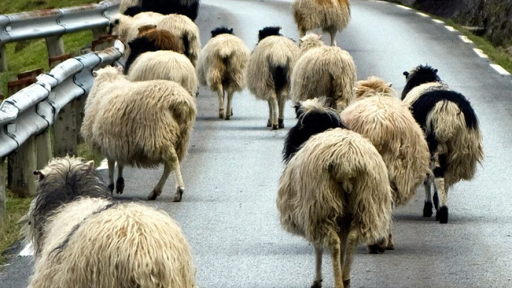 stoccolma, copenhagen 2007