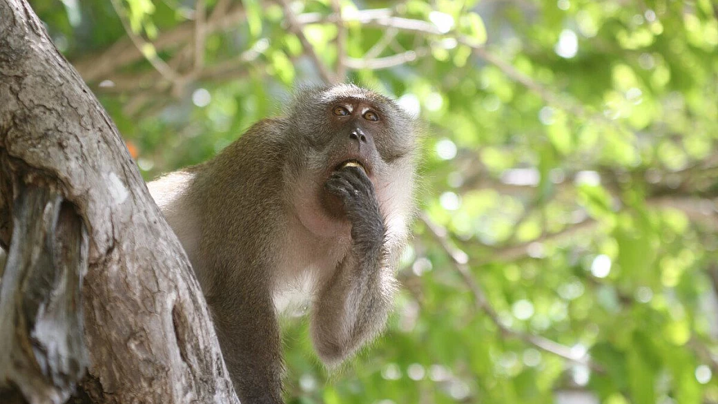 thailandia da nord a sud 2