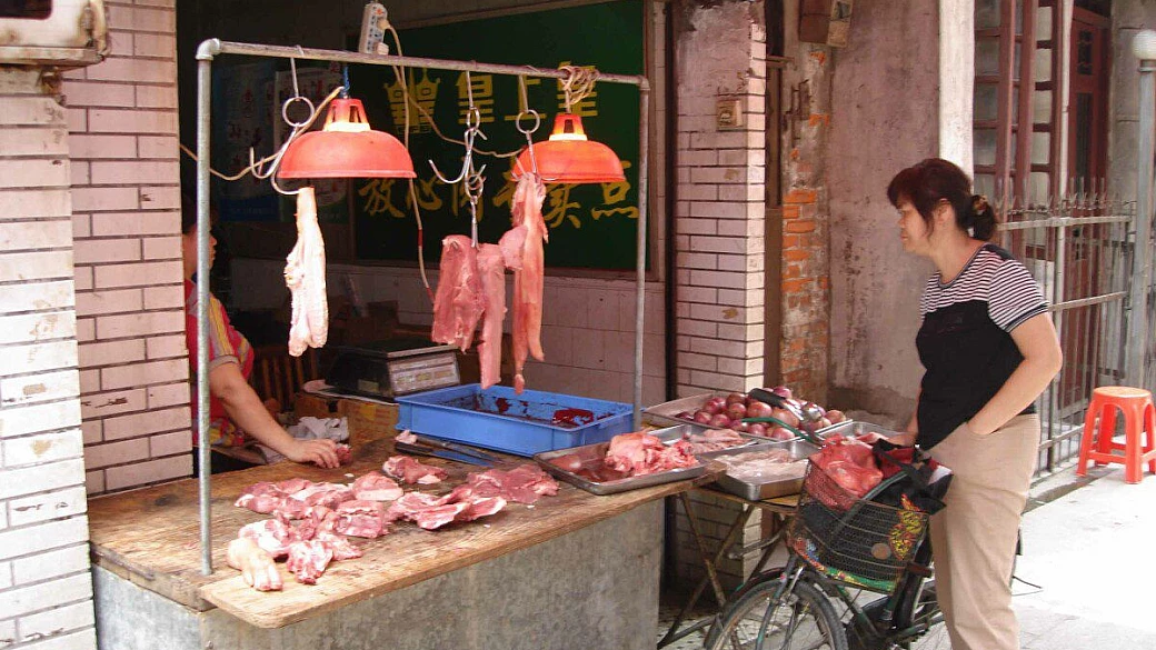 la baia dell'incanto & l'isola degli dei